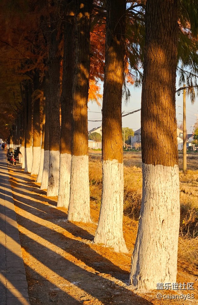 體驗(yàn)再次進(jìn)化，Z Fold5外觀和拍攝能力分享