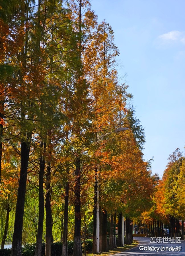 體驗(yàn)再次進(jìn)化，Z Fold5外觀和拍攝能力分享