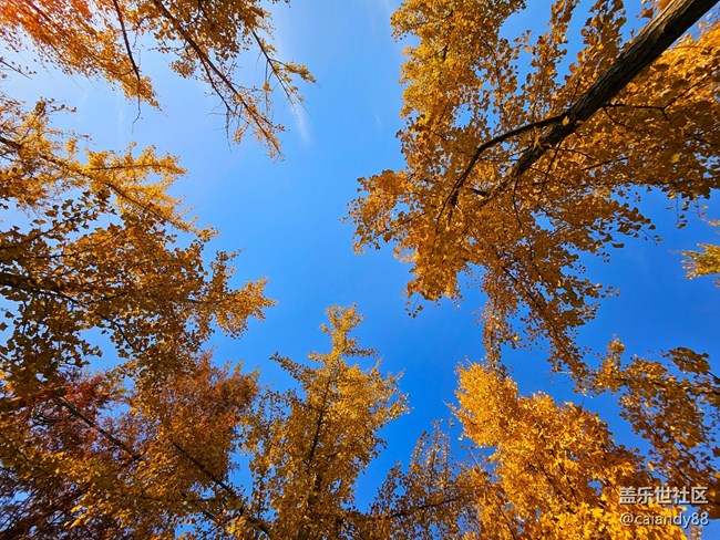 體驗(yàn)再次進(jìn)化，Z Fold5外觀和拍攝能力分享