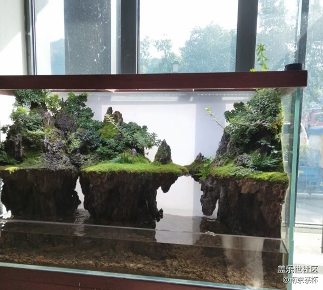 【抓住秋天的尾巴】觀賞