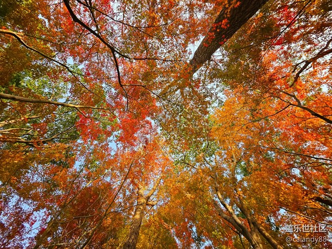 體驗(yàn)再次進(jìn)化，Z Fold5外觀和拍攝能力分享