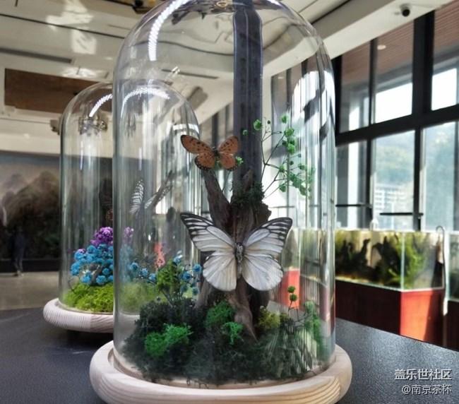 【抓住秋天的尾巴】觀賞