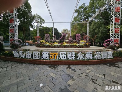 中山公園第37屆群眾菊花展