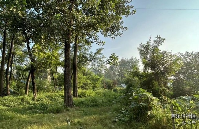 【秋日勝春朝】早晨