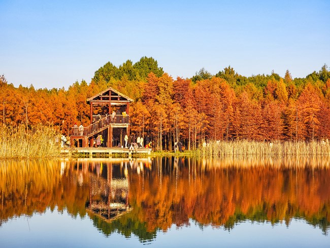 精品大咖秀 第二十八期：你的城市下雪了