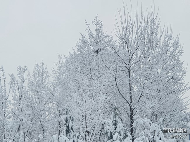 鳴皋古鎮(zhèn)-雪
