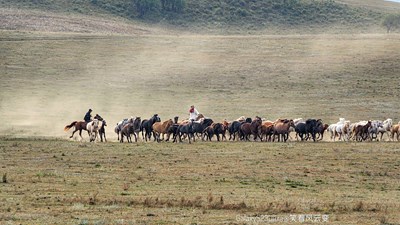 GalaxyS23Ultra   壩上秋歌之萬馬奔騰（一）