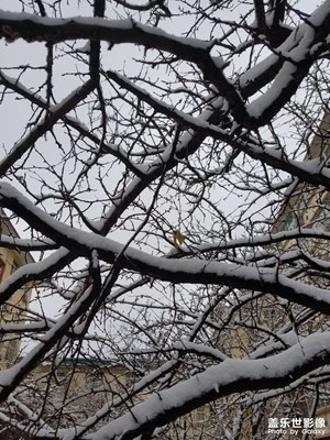 2023年的第一場雪