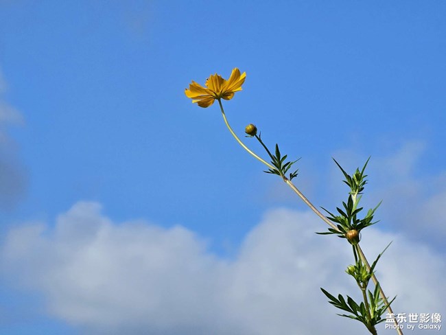 精品大咖秀 第二十八期：你的城市下雪了
