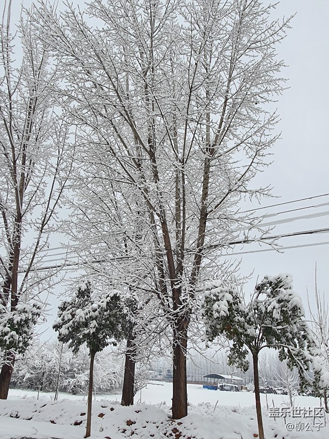 鳴皋古鎮(zhèn)-雪