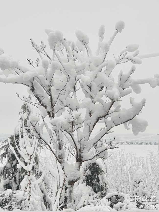 鳴皋古鎮(zhèn)-雪