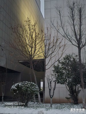 隨拍