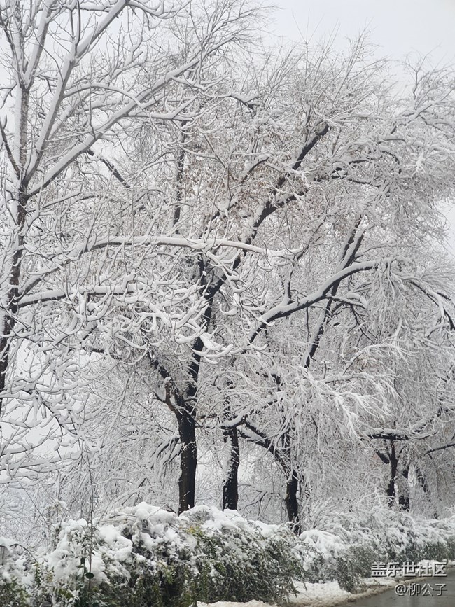 鳴皋古鎮(zhèn)-雪