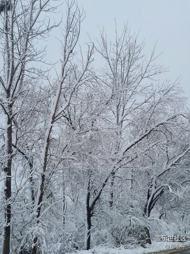 鳴皋古鎮(zhèn)-雪