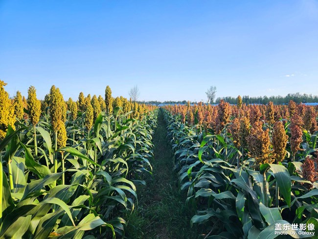 精品大咖秀 第二十八期：你的城市下雪了