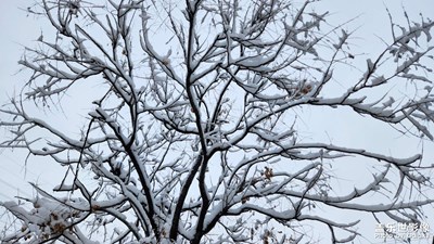 【隨處風(fēng)景】+ 遇見第一場雪
