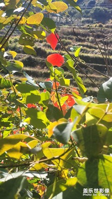 【難忘2023】隨拍