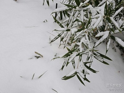 2023年的第一場(chǎng)雪