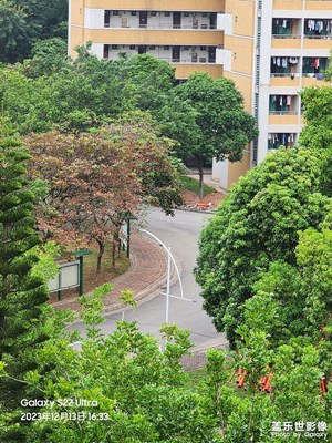 【隨處風景】大學校園