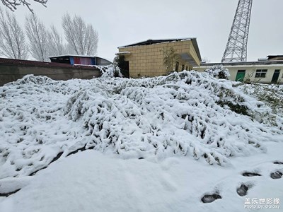 【隨處風(fēng)景】+大雪之后