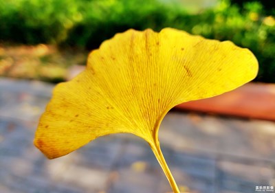 【隨處風(fēng)景】+多彩的風(fēng)景