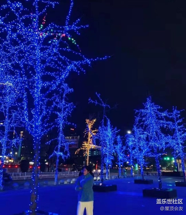 【美麗的夜】夜晚