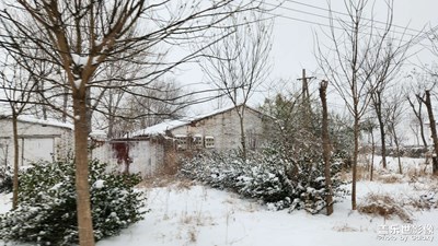 【難忘2023】

今年的一場(chǎng)大雪