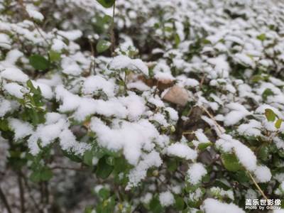 【隨處風(fēng)景】+ 西安的第一場雪