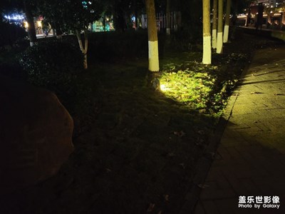 【難忘2023】散步隨拍