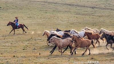 GalaxyS23Ultra 壩上秋歌之速度與激情