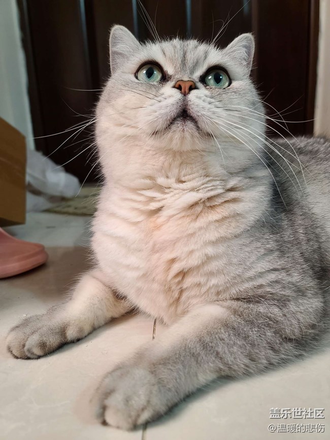 精品大咖秀 第二十八期：圣誕節(jié)快樂