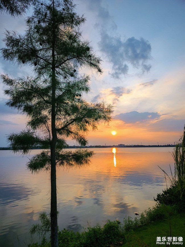 精品大咖秀 第二十八期：圣誕節(jié)快樂