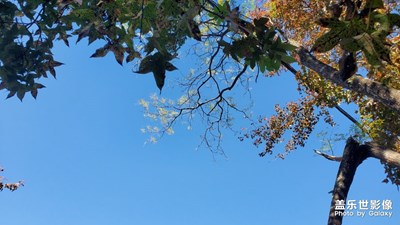 【難忘2023】周末登山