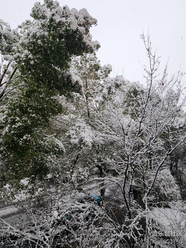 【你那里下雪了嗎？】坐標江蘇常州下雪了