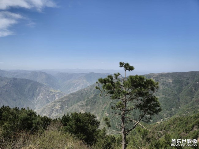 精品大咖秀 第二十八期：圣誕節(jié)快樂