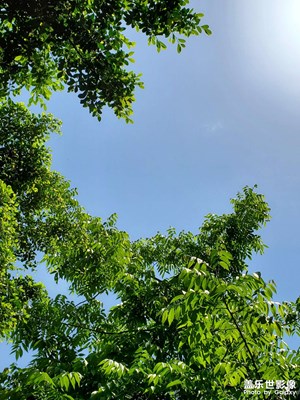 【隨處風景】+隨處都是風景