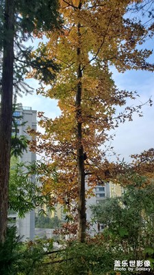 【難忘2023】告別2023