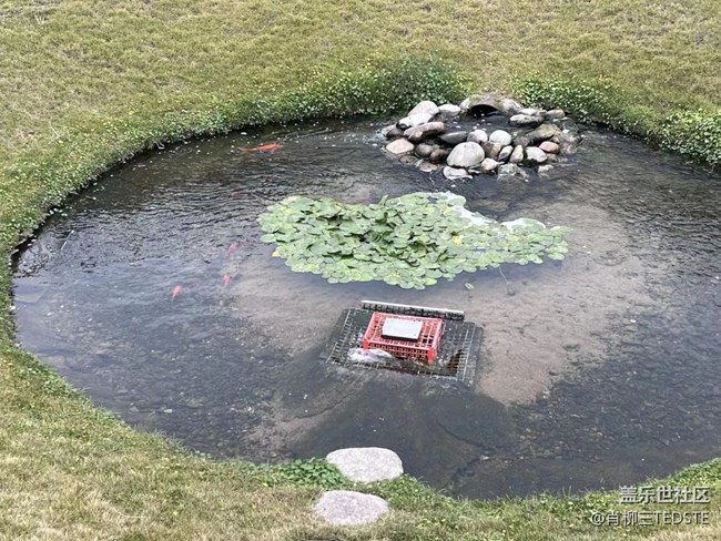 【浪漫的盡頭】冬日色彩