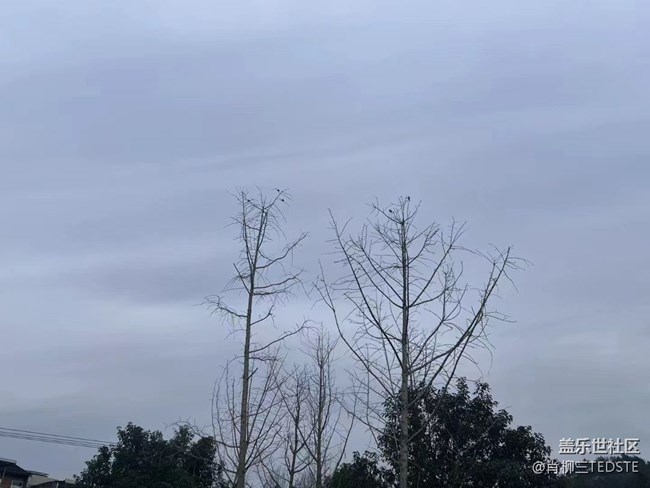 【浪漫的盡頭】冬日色彩