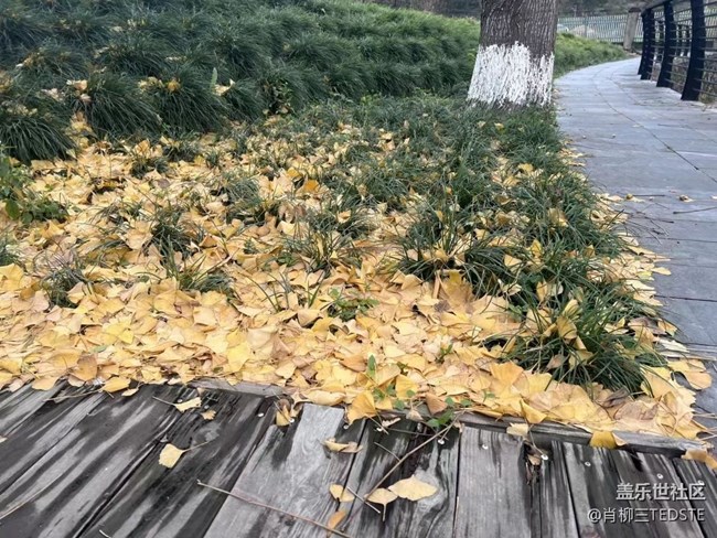 【浪漫的盡頭】冬日色彩