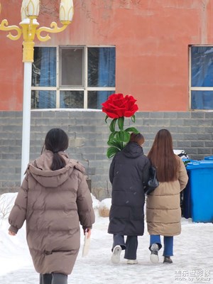 【冬日里的溫暖】雪地的溫暖