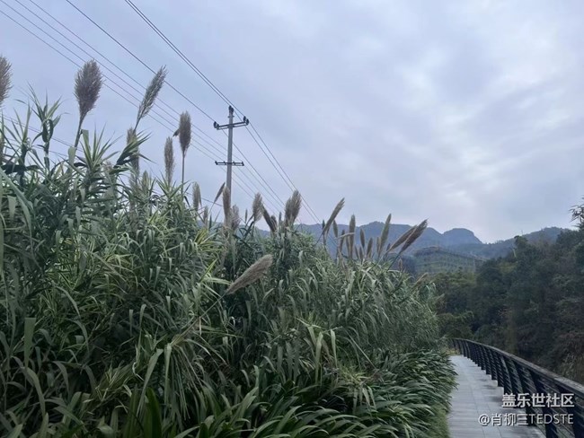 【浪漫的盡頭】冬日色彩