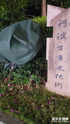 【難忘2023】健身公園