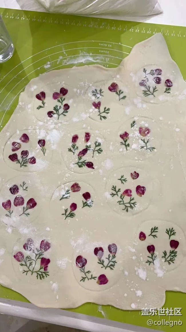 【新年霸王餐】花色餃子