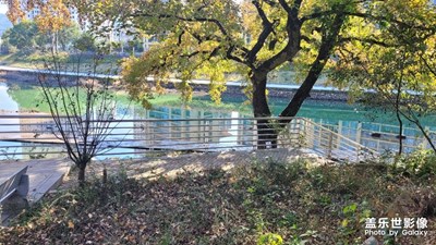 【難忘2023】最冷冬至