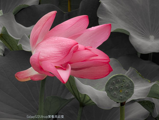 精品大咖秀 第二十八期：再見，2023