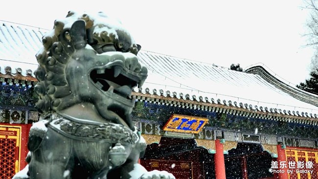 精品大咖秀 第二十八期：再見，2023