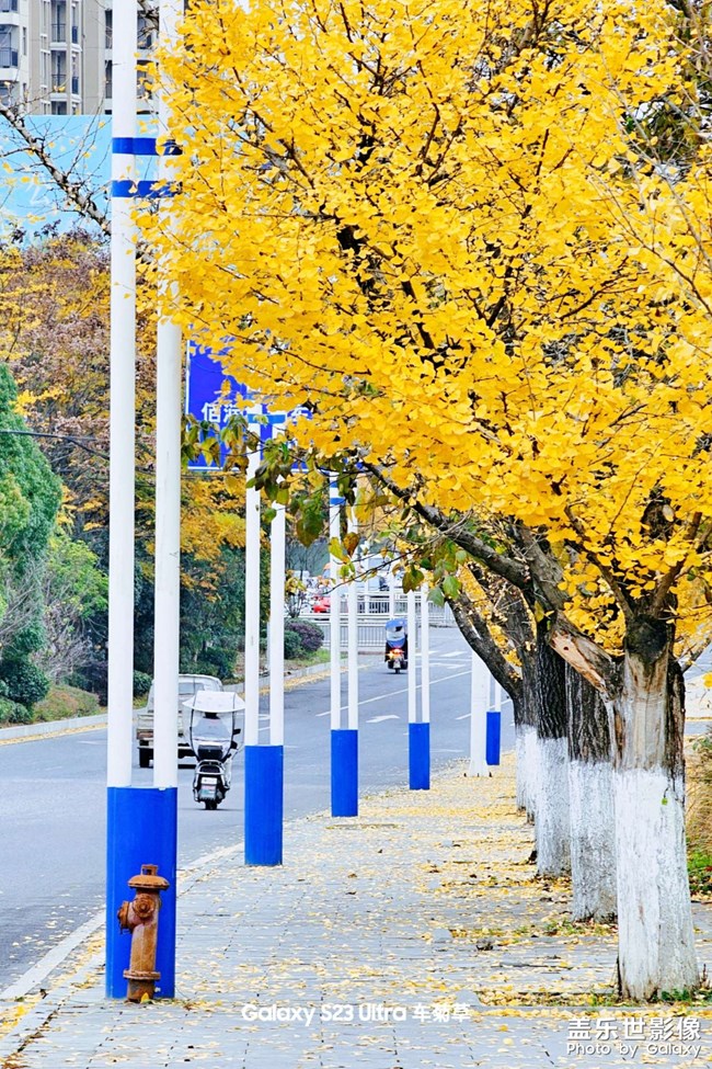 精品大咖秀 第二十八期：再見，2023