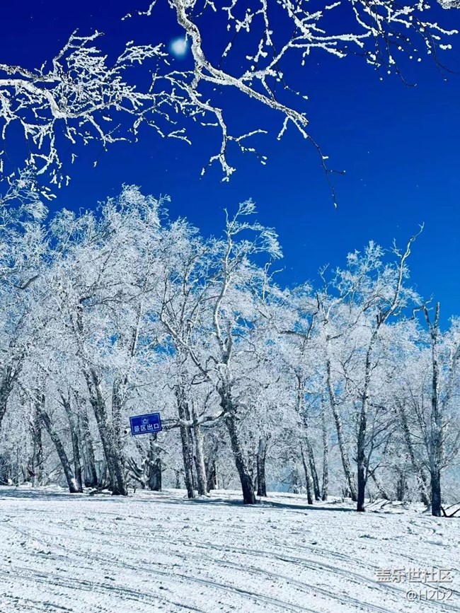 【冬日物語】冰雪世界