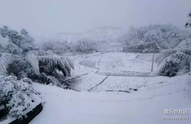 【冬日物语】大雪